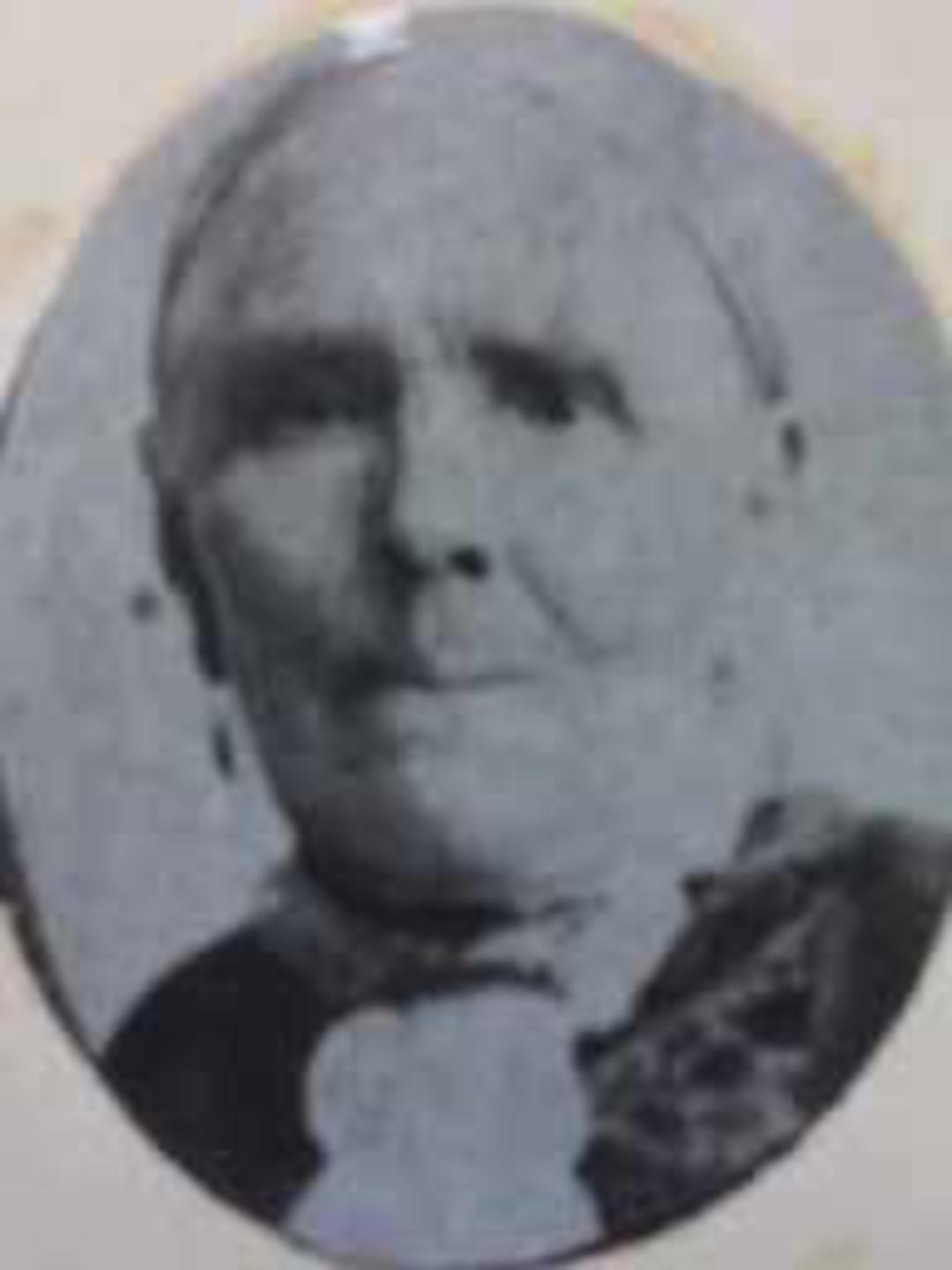 Louisa Hancock (1816 - 1898) Profile